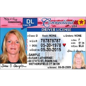 connecticut-drivers-license